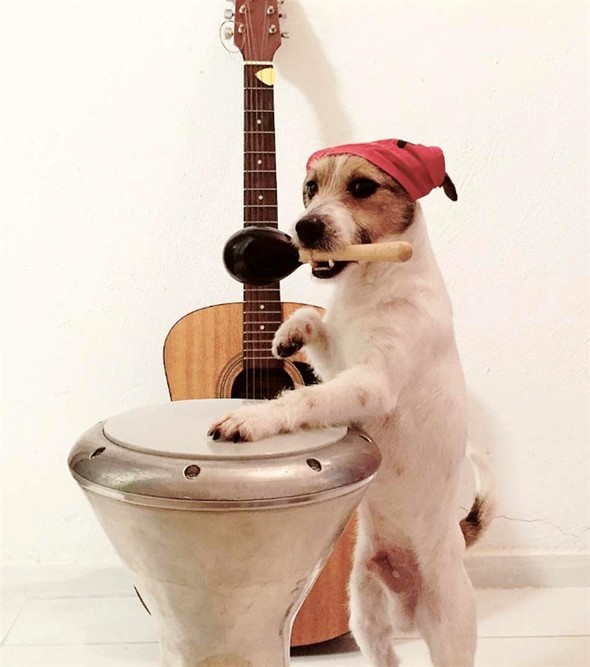 16-11/27/583a9d7bc03c0e19dcd06540