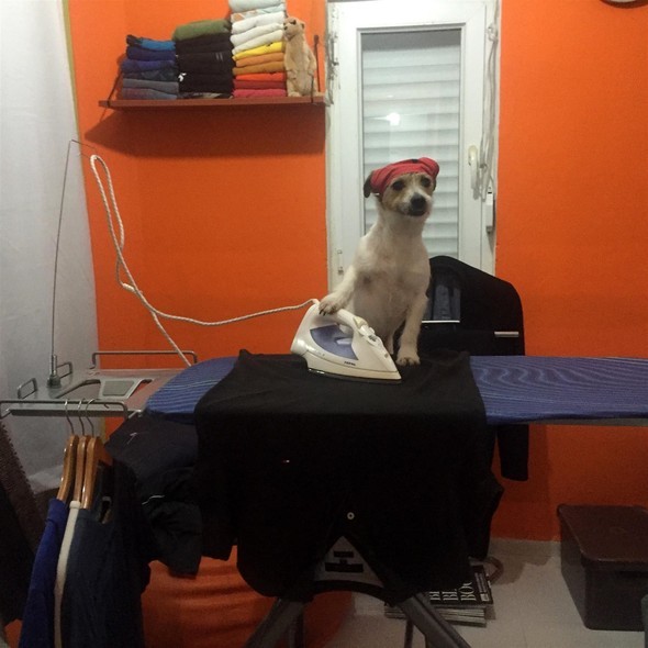 16-11/27/583a9d7ec03c0e19dcd06553