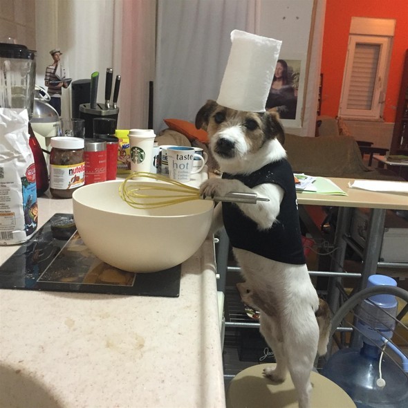 16-11/27/583a9d7ec03c0e19dcd06555