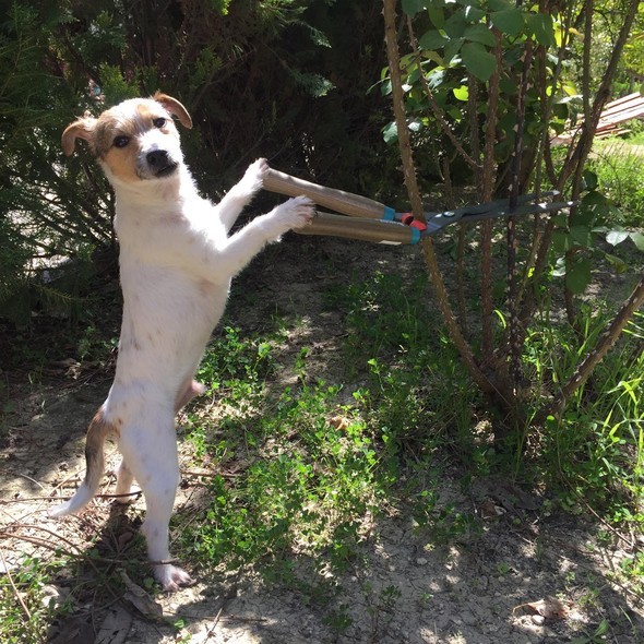 16-11/27/583a9d7ec03c0e19dcd06567