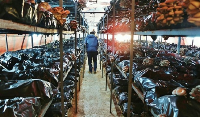 16-12/03/resized_b2028-1200_tur_picture_20161203_10245701_10245695