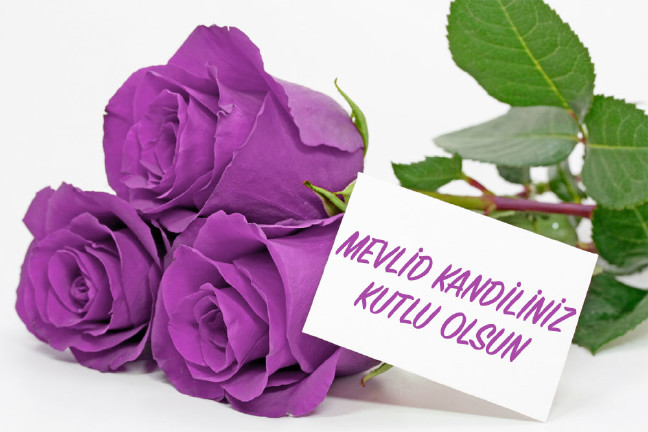 16-12/10/kandil-mesajlari-mevlit-kandili-jpg