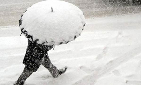 16-12/14/141220161031354336670_3