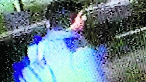 16-12/16/fft16_mf8184044