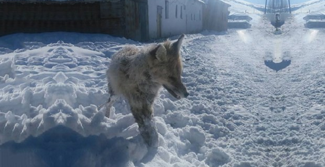 16-12/21/screenshot_3-1482317813