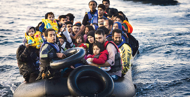 17-01/01/01s8-mulkeci