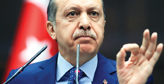 17-01/02/02krs8-erdogannnn