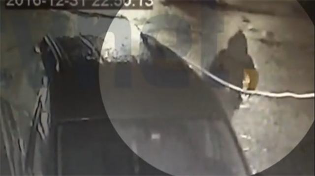 17-01/03/resized_88903-055be4f1c61