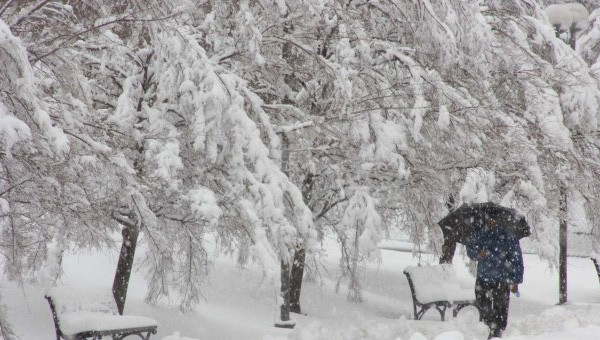 17-01/05/160220151423417845969_2