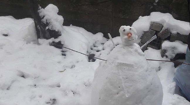 17-01/10/kardan-adam