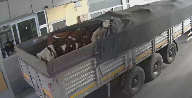 17-01/13/screenshot_4-1484300004