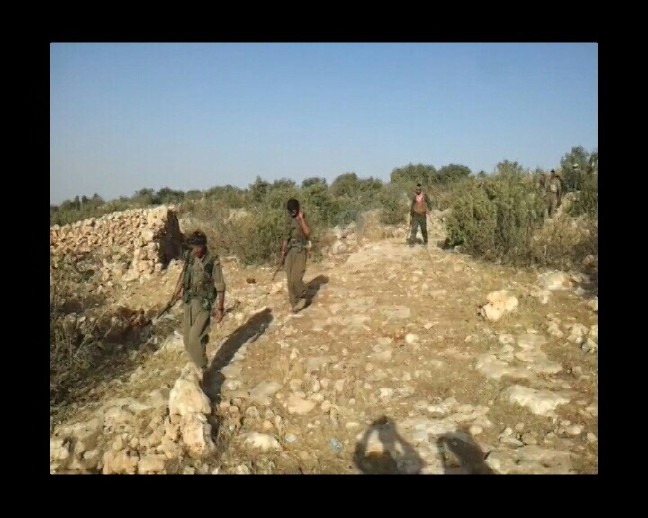 17-01/14/a9af470a-cd87-4eb1-b2dd-b66e6a24346a