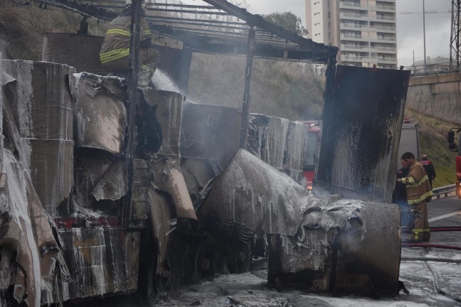 17-01/16/resimid_5678626