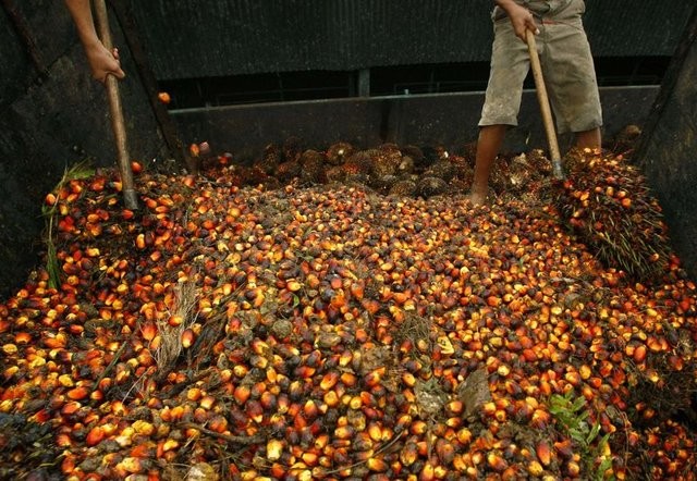 17-01/17/1351369_fd27b7a34e3e61aaebdfb9fbc00a1f12_640x640