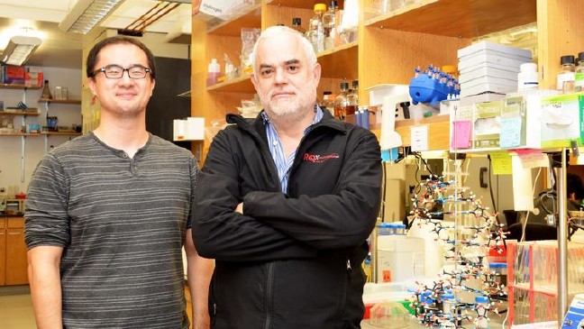 17-01/24/sd-bfikes-1485213943-snap-photo