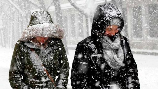 17-02/10/fft99_mf6506462