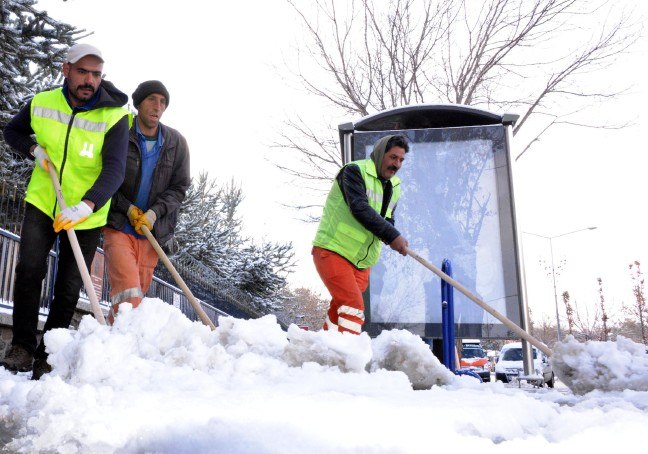 17-02/16/5bd946a995412bd64c11a8132007a115