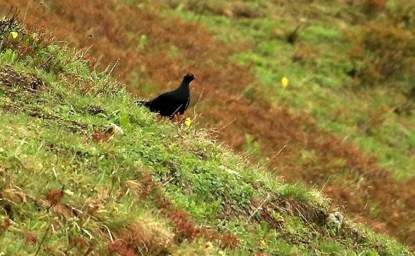 17-02/22/d729290e4c139c5c720c8ac959232ae5-1487761151