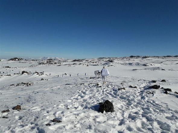 17-03/02/58b85be267b0ab12f41f2397