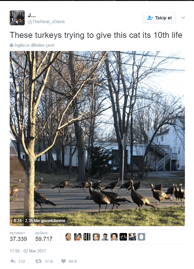 17-03/03/screenshot_4