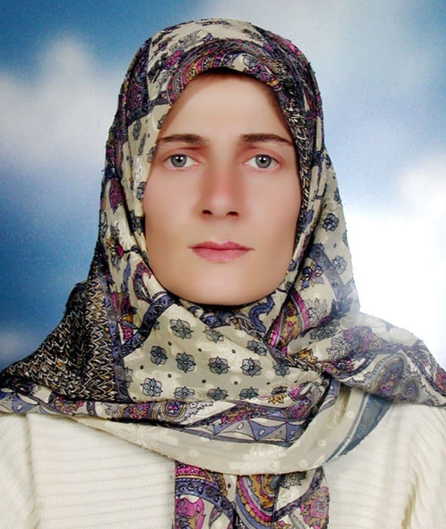 17-03/06/iceri-1488810127