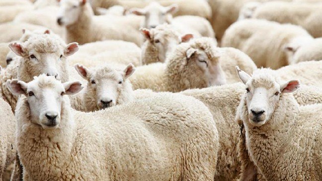 17-03/09/150920130930538981678