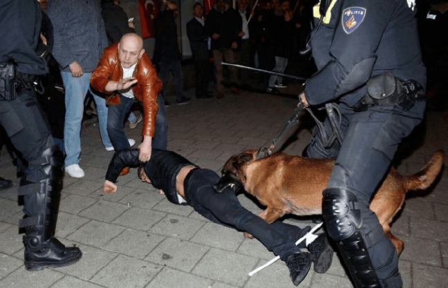 17-03/12/ekran-resmi-2017-03-12-145358-1489320463