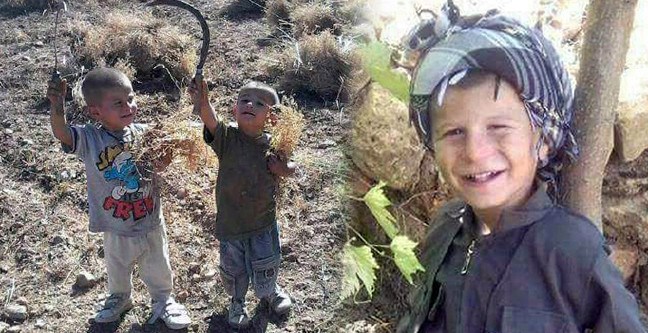 17-03/18/1-1489854771