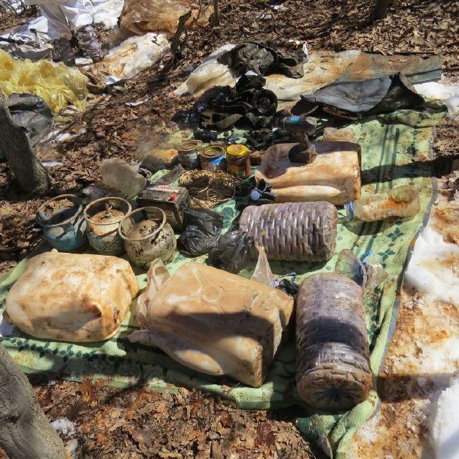 17-03/25/f-1490435919