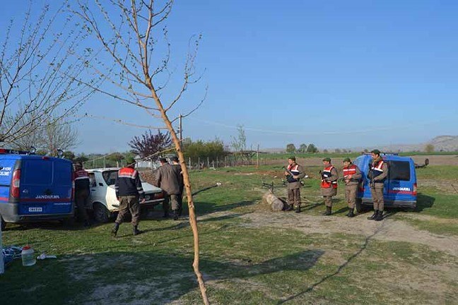 17-03/30/20170329_2_22704534_20413704