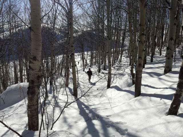 17-04/01/2-1491026896