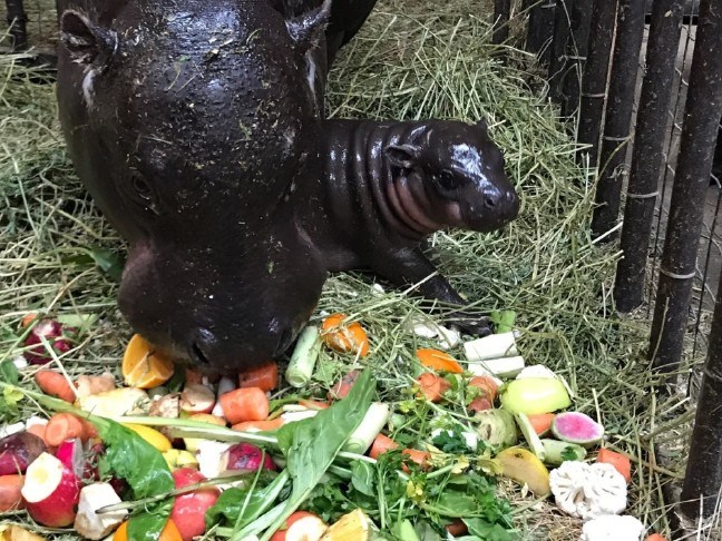 17-04/12/307849de-6bed-4634-98ab-3547f0362247