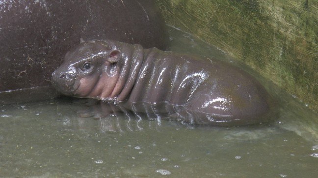 17-04/12/ebbafc54-829f-4109-9f56-0e7ae128f0c7