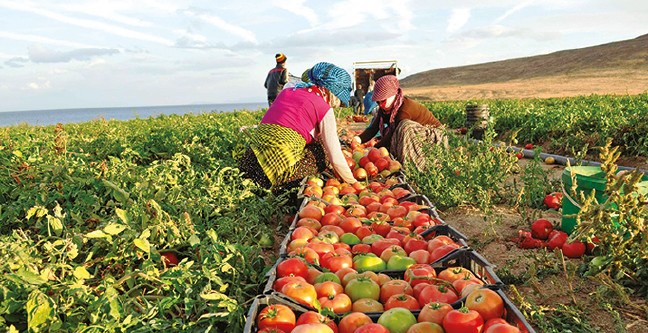 17-04/22/22kr04sebze