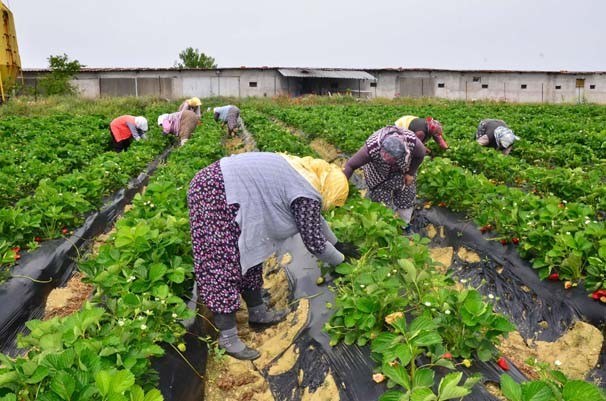 17-04/22/i-1492850986