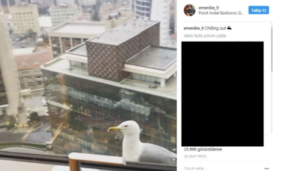 17-04/23/screenshot_4