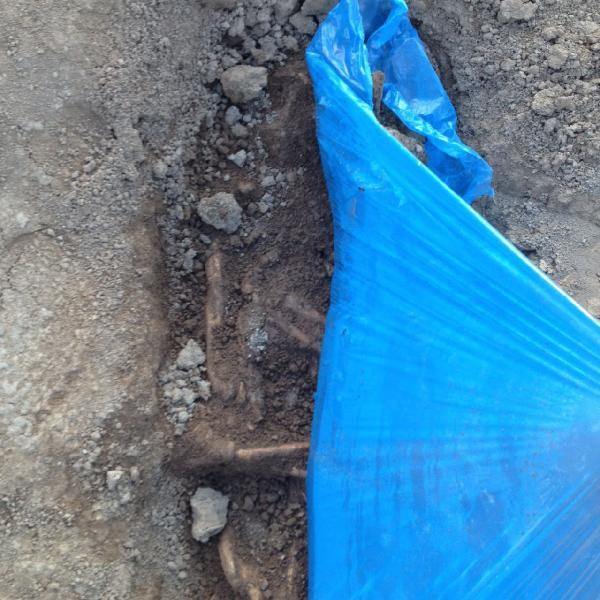 17-04/28/2-1493379601