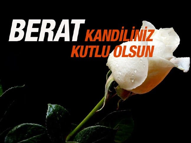 17-05/10/090520171629587344298