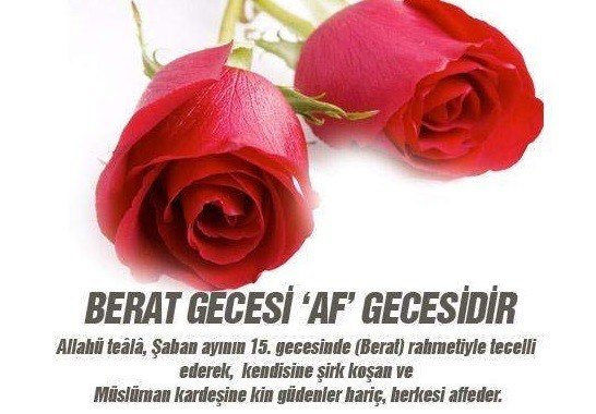 17-05/10/3-1494402482