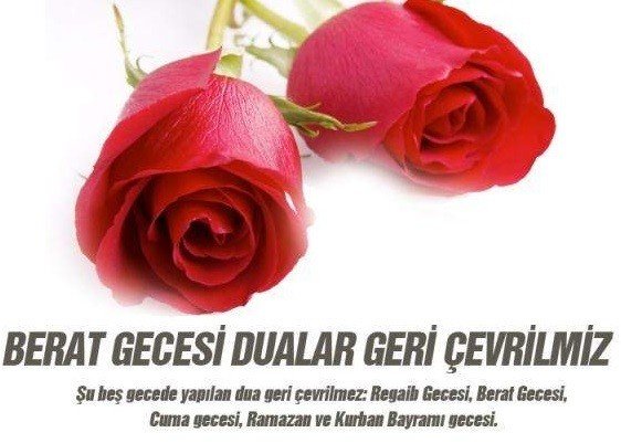 17-05/10/6-1494402458