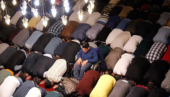 17-05/11/haber-2f2017-2f05-2fberat5-1