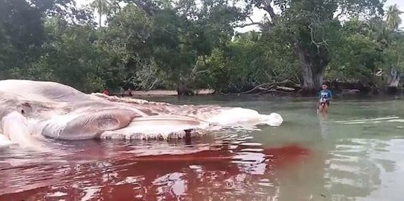 17-05/12/5915a86b67b0a937dce5f8f8