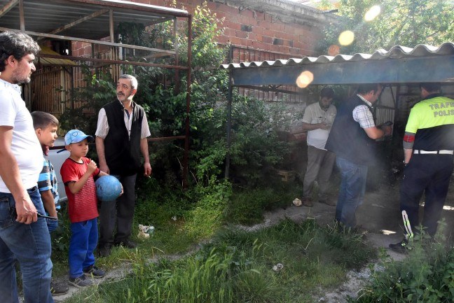 17-05/15/59196ffb61361f1b2ced07ee