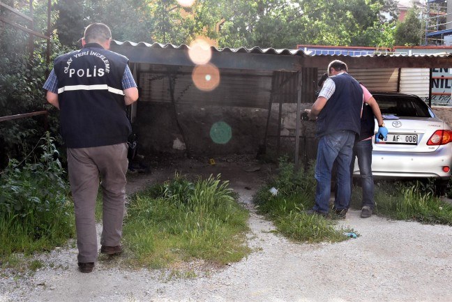 17-05/15/59196ffd61361f1b2ced07f6