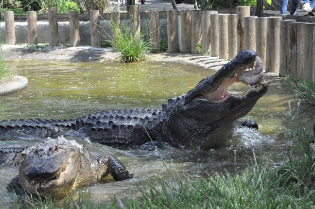 17-05/16/2b225b62-0710-4f9c-8639-f08b35f21de1