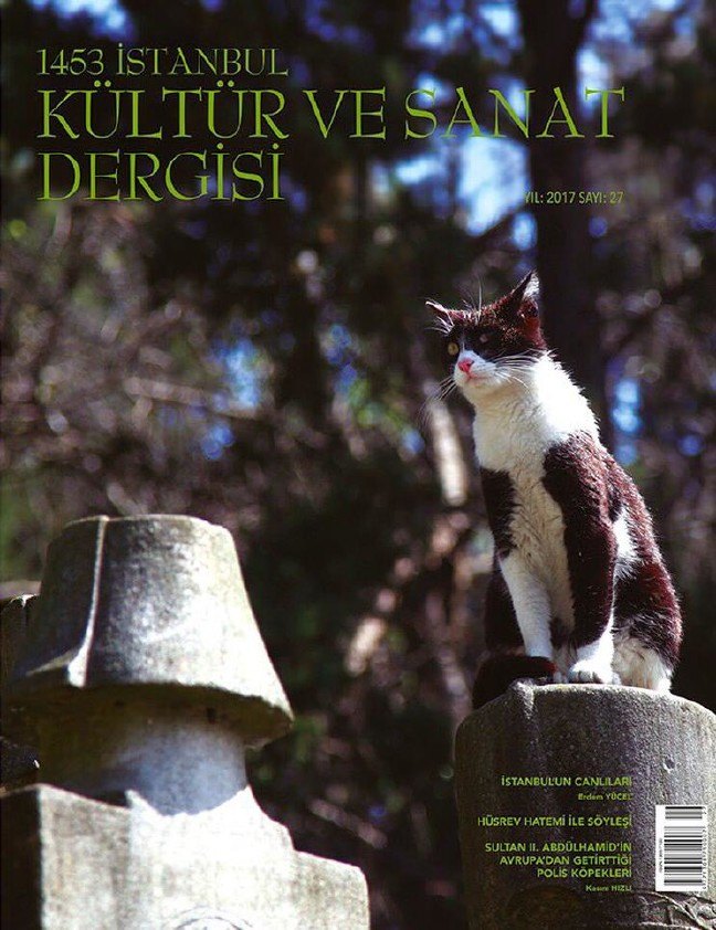 17-05/16/591aa8240f25443d98c019a6