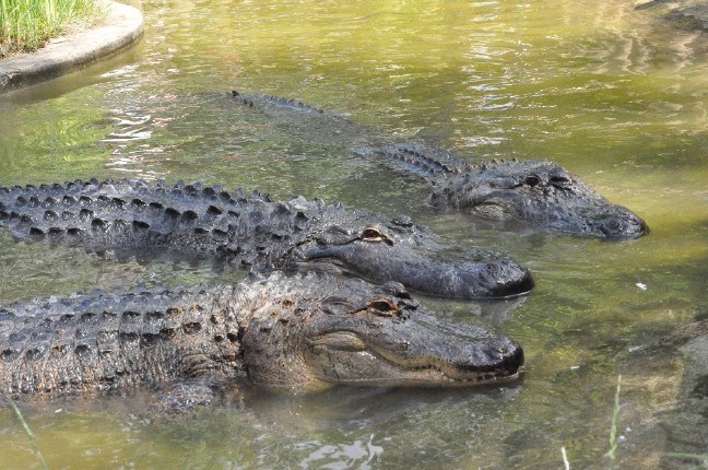 17-05/16/99b7cb71-40d1-4c31-8c17-df7d86368248