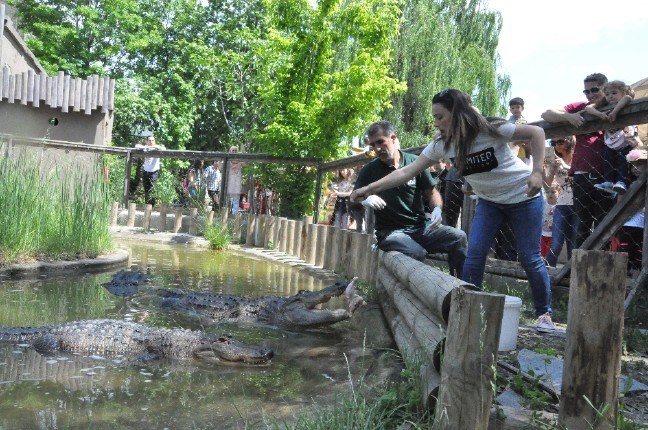 17-05/16/be9e29be-3029-4ca9-a96c-12334fc68131