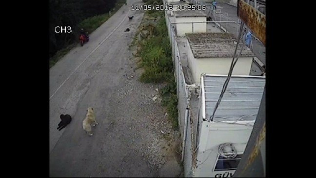 17-05/17/s4-1495031014