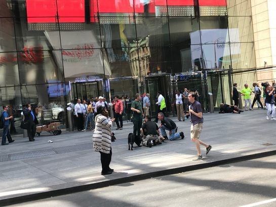 17-05/18/1499748_8f3b654f8bb61d7f26362f0d2889ed2d